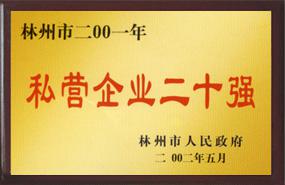 私营企业二十年